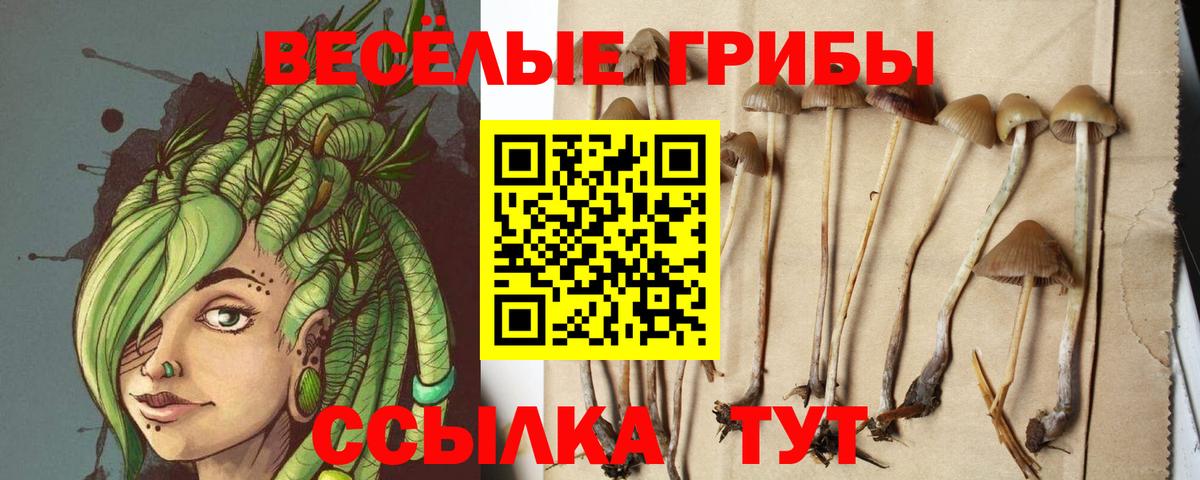 Галлюциногенные грибы Psilocybe  Галлюциногенные грибы MAGIC MUSHROOMS  Вход с VPN  Карталы 