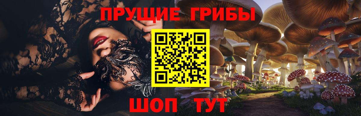 Галлюциногенные грибы Psilocybine cubensis Карталы